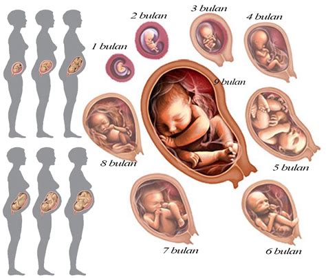 Menikmati Proses Kehamilan dengan Lebih Banyak Ketenangan